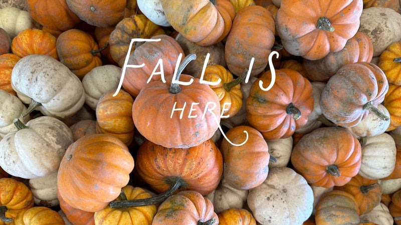 FALL