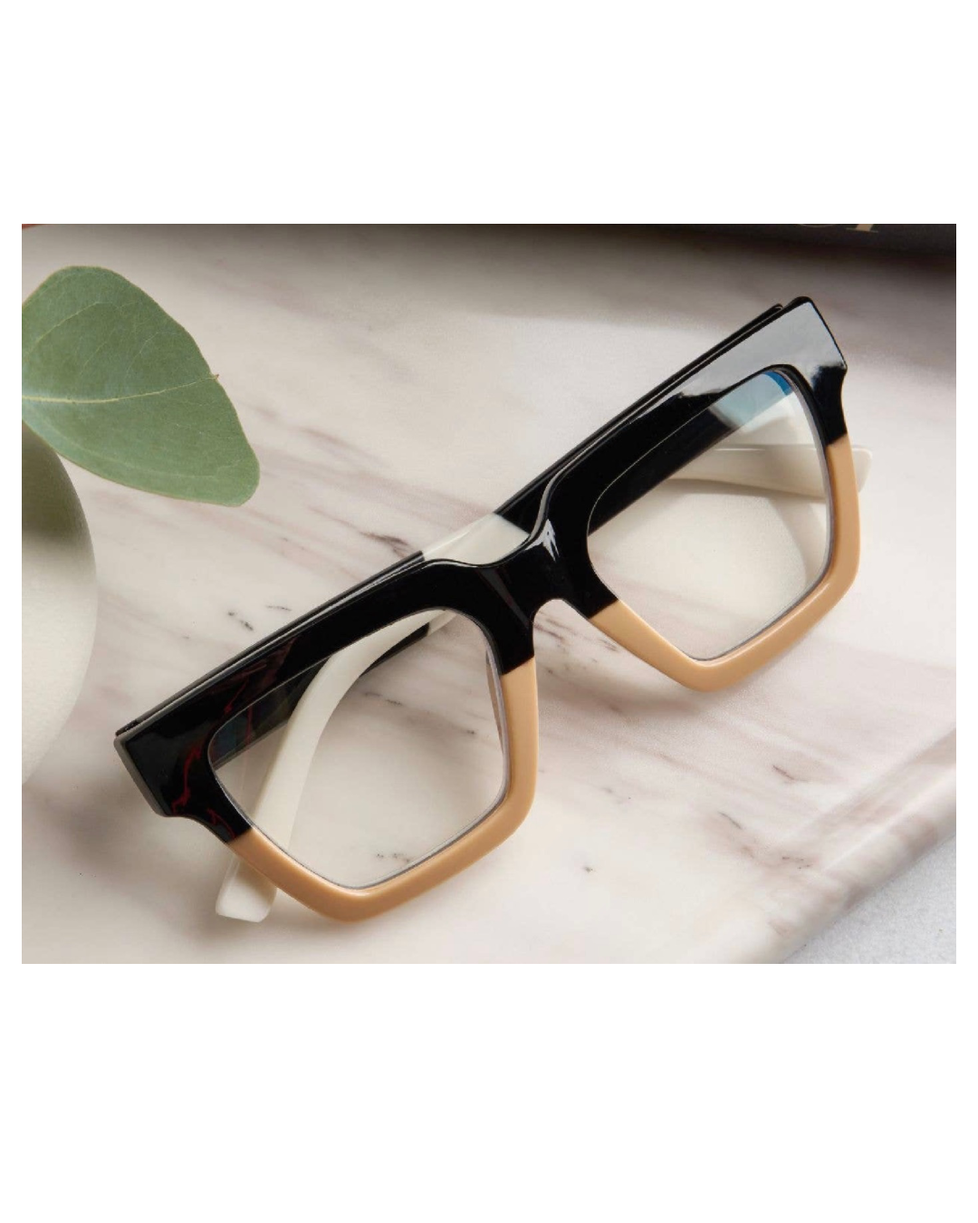 Black/Tan Take a Bow Readers