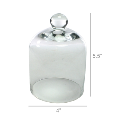 Glass Dome - Mini - Clear