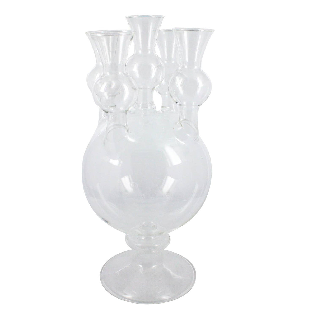 Glass Tulipiere