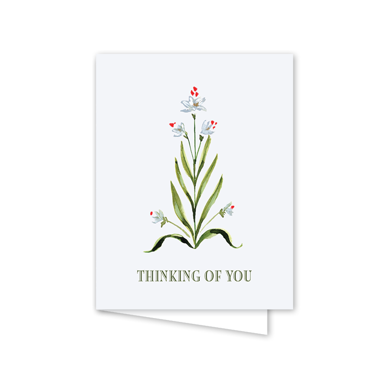 Paperwhites Scallop Thinking of You: Single Card
