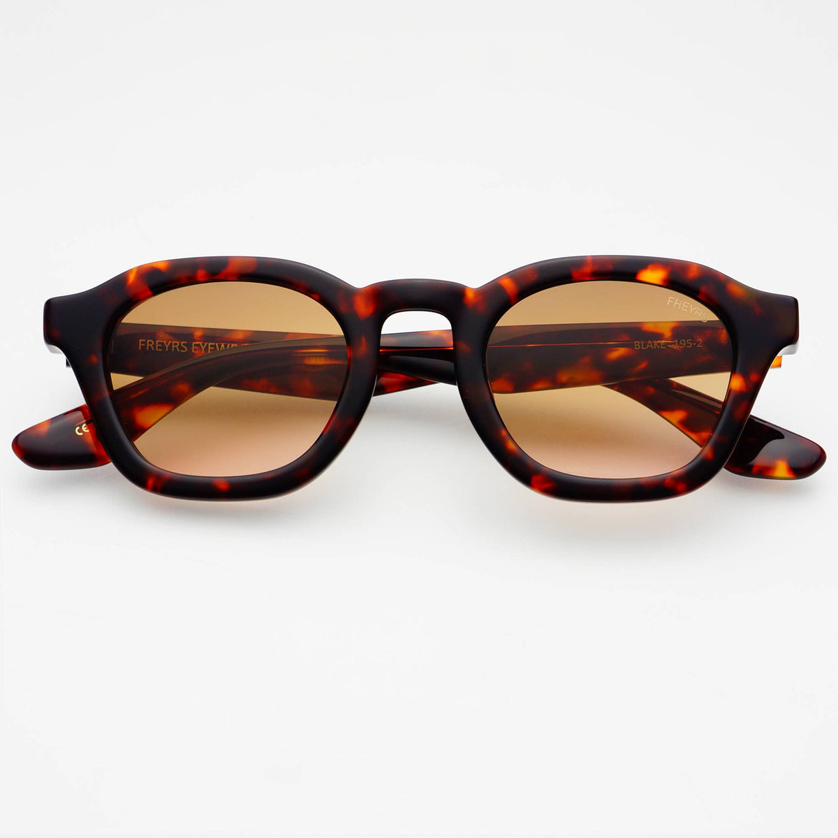 Blake Tortoise Sunglasses
