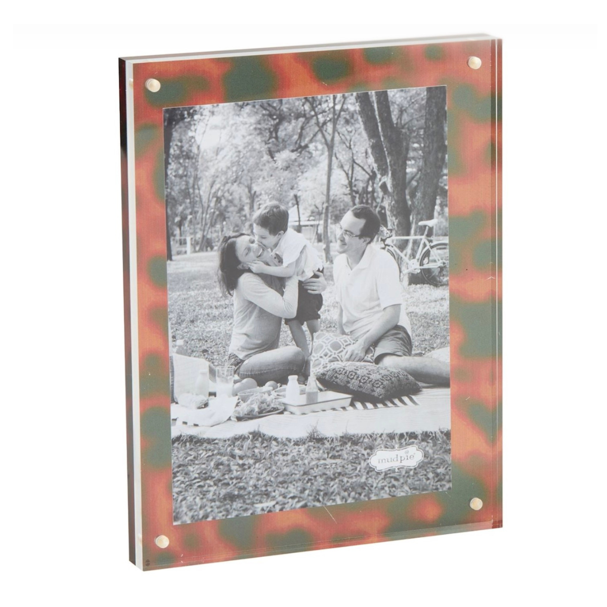 Large Tortoise Acrylic Block Frame