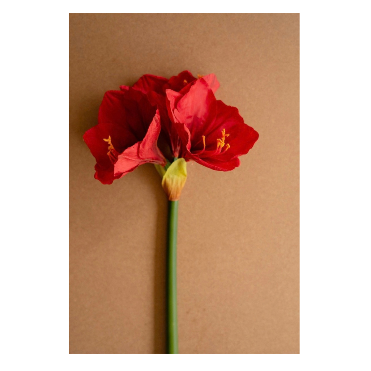 Artificial Amaryllis Stem