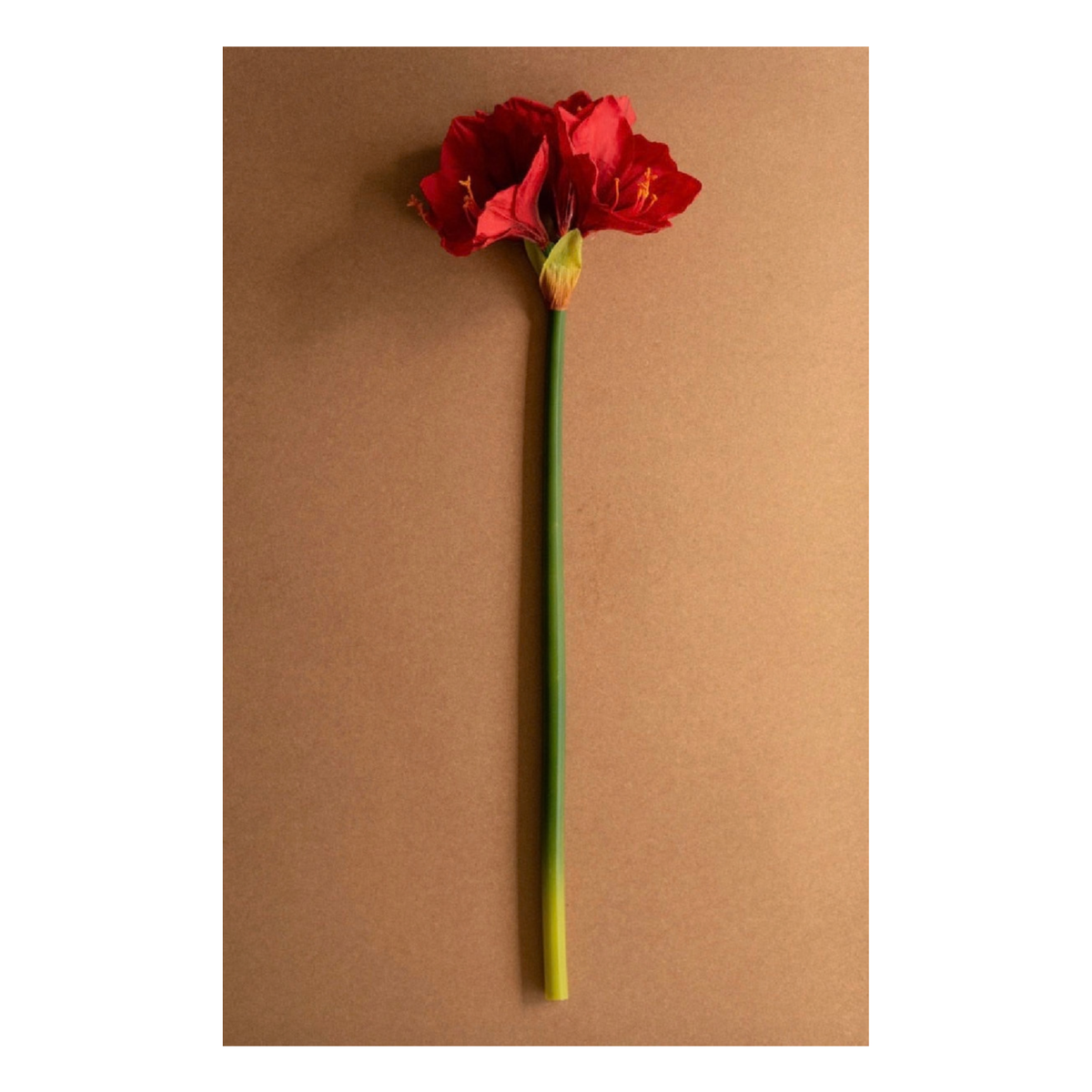 Artificial Amaryllis Stem