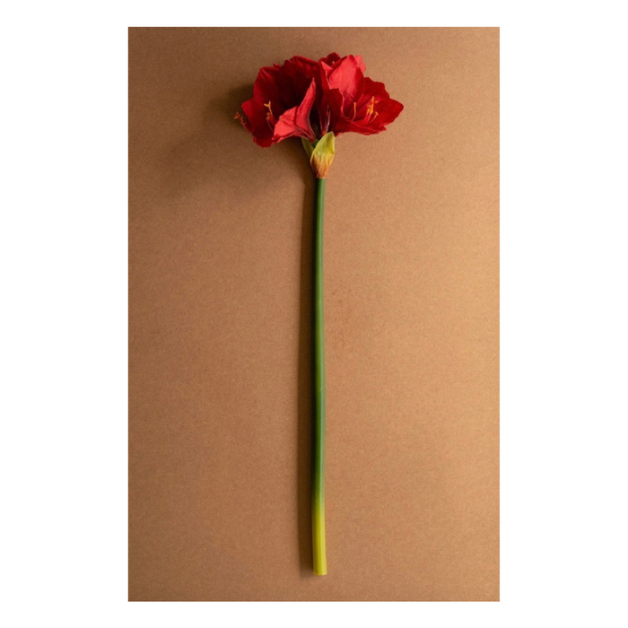 Artificial Amaryllis Stem