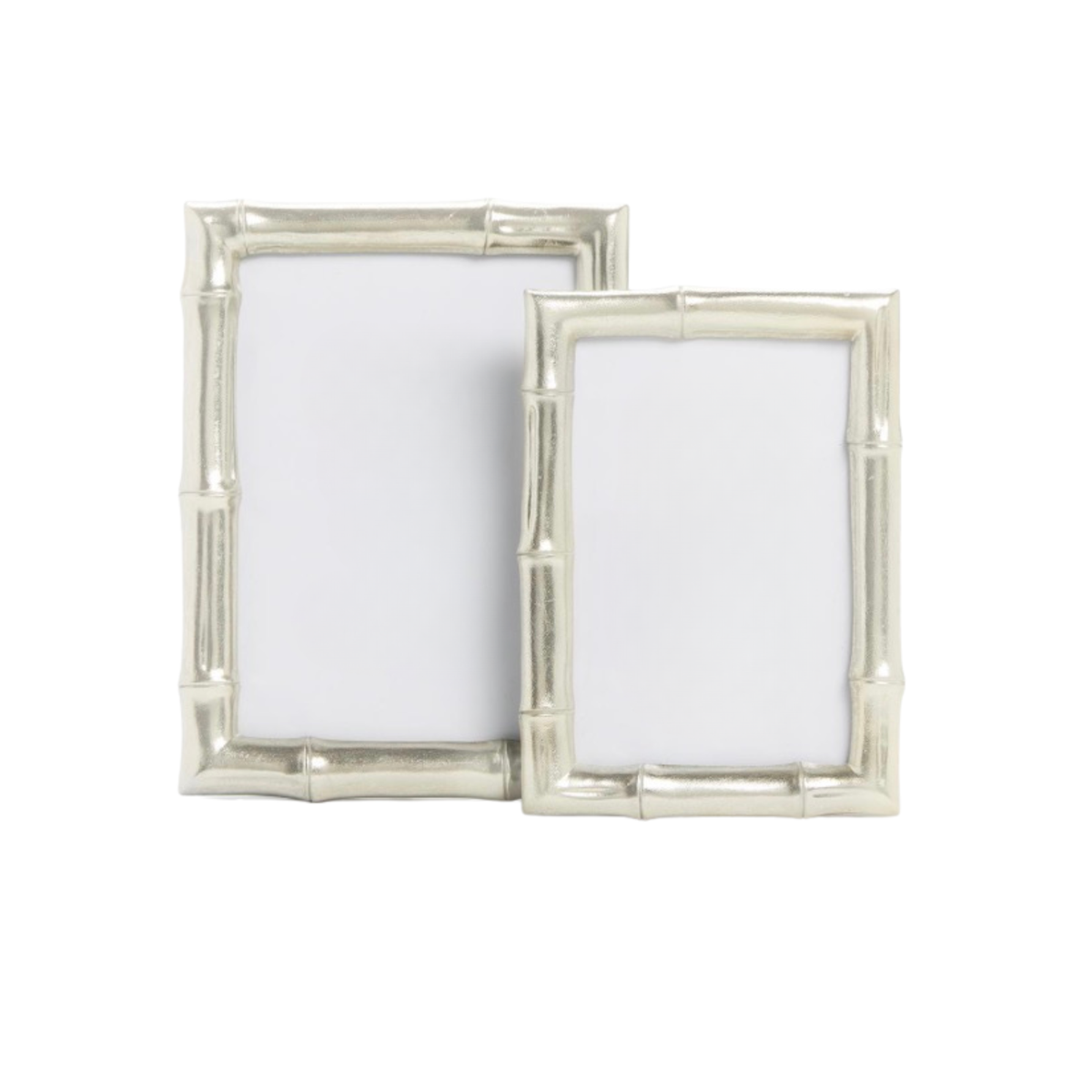 Silver Faux Bamboo Frame