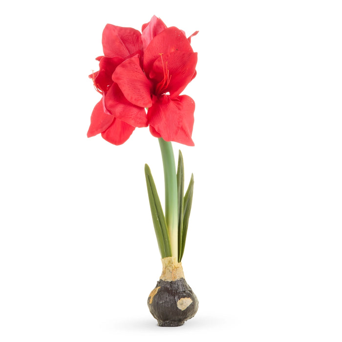 19” Real Touch Amaryllis Bulb