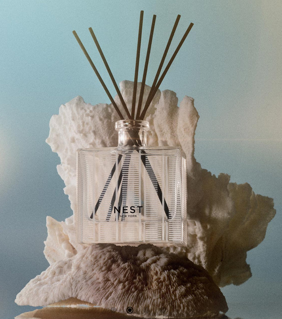 Ocean Mist and Sea Salt Reed Diffuser