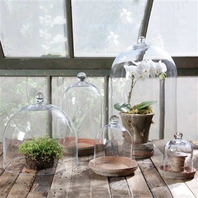Glass Dome - Mini - Clear