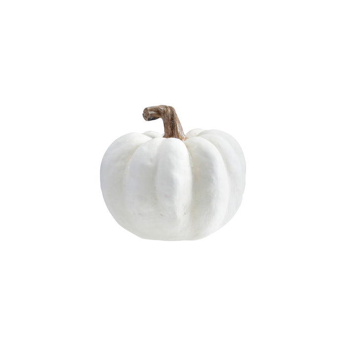 Small White Pumpkin