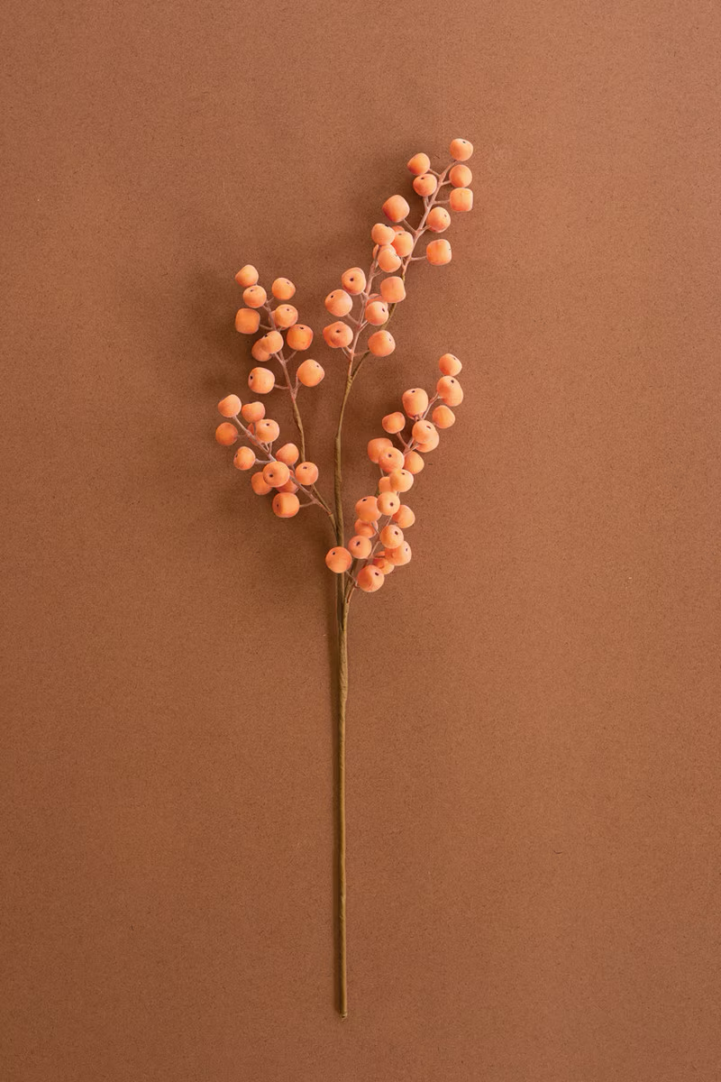 Orange spray