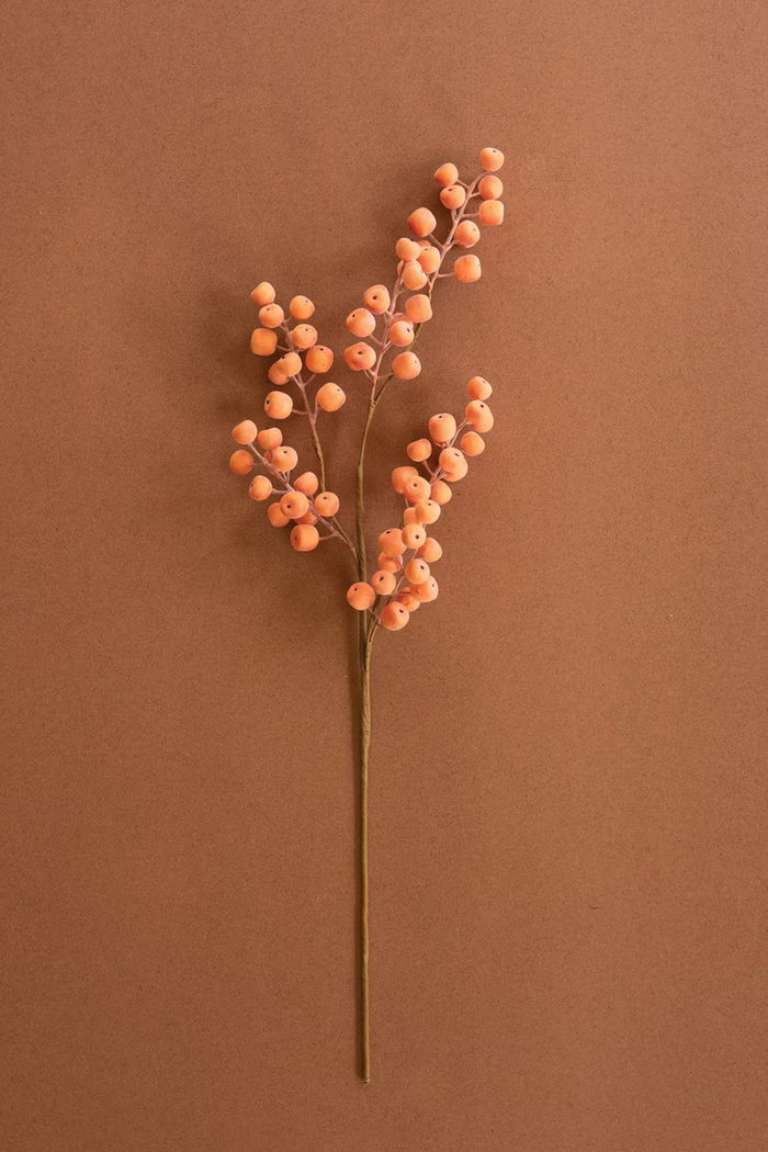 Orange spray