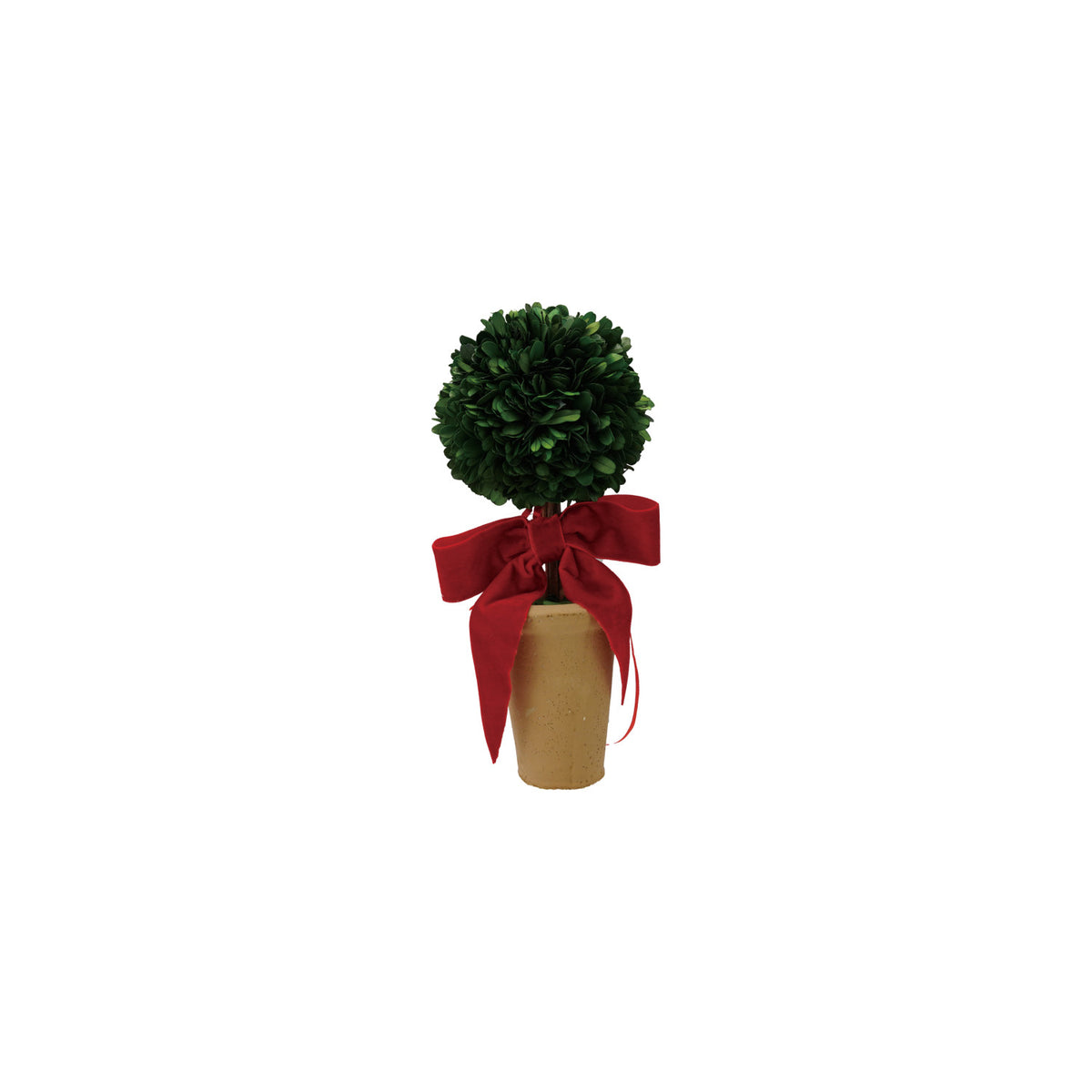 Dried Boxwood Tree with Red Velvet Bow