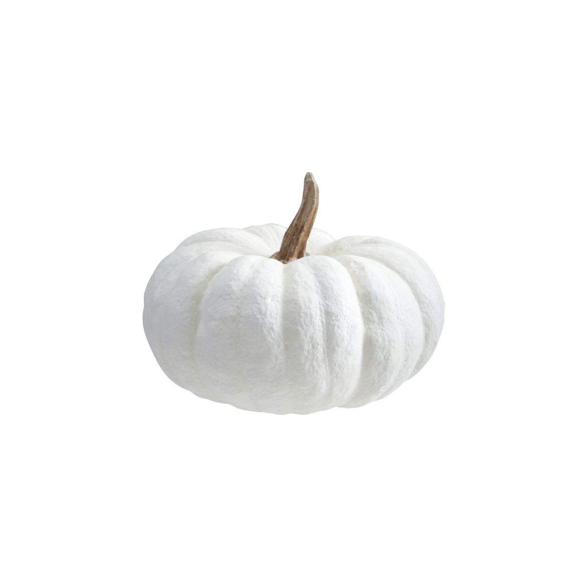 Large White Pumpkin