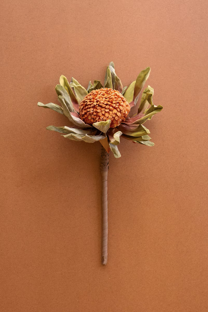 Harvest Botanical Pick