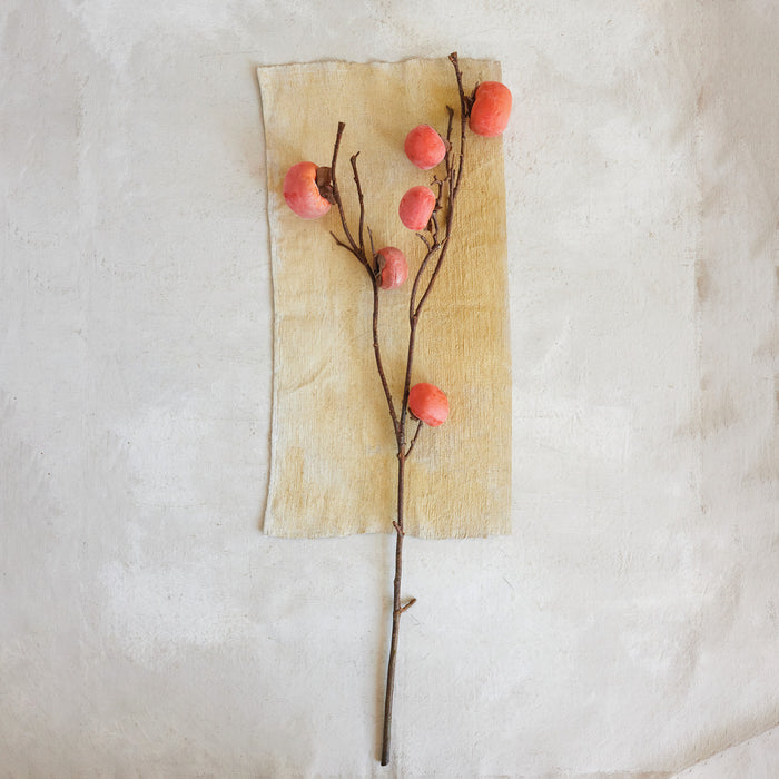 Orange Persimmon Branch
