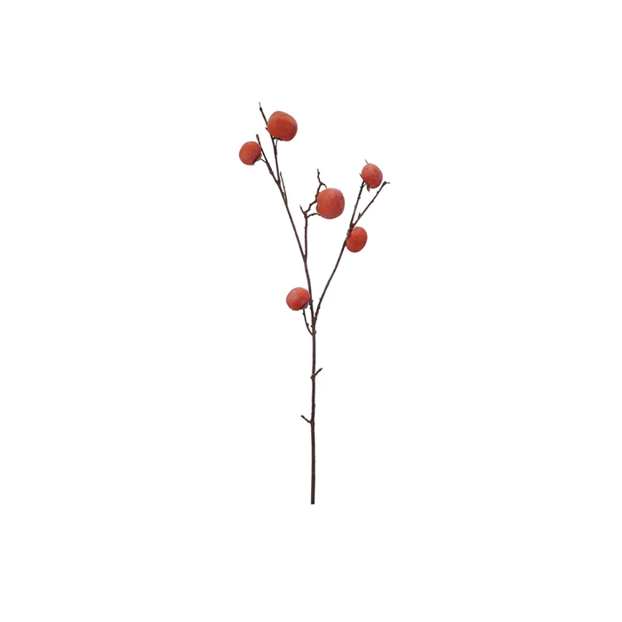 Orange Persimmon Branch