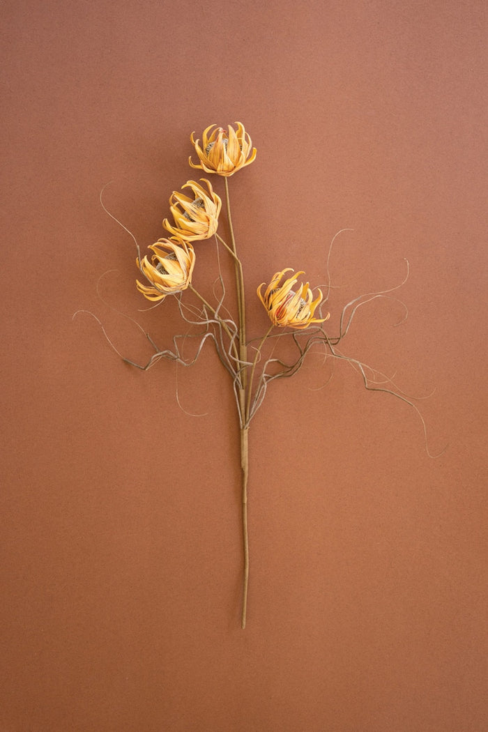 Golden Lotus Sunflower Stem