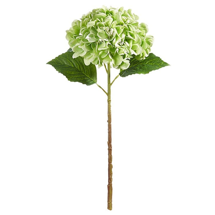 19" Real Touch Green Hydrangea Stem